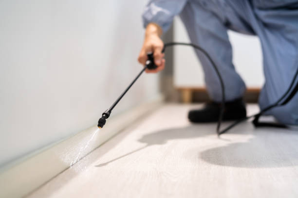 Licensed Pest Control service in Cross Mountain, TX - Show Me Pest Control