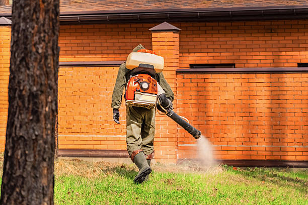 Bed Bug Clearance Verification and Documentation in Cross Mountain